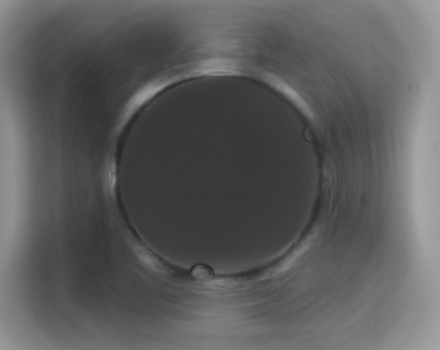 X0000115321461200911091147