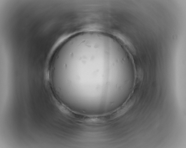 X0000115321462200911091147