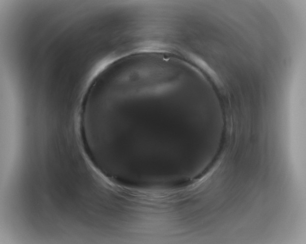 X0000115321463200911091147