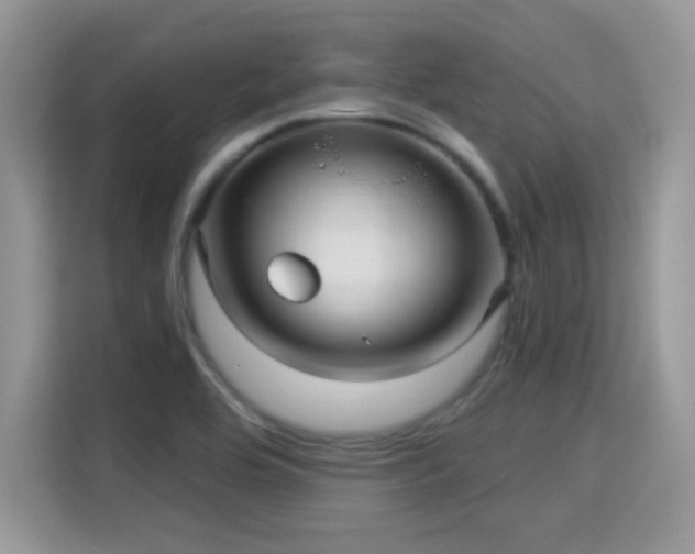 X0000115321464200911091147