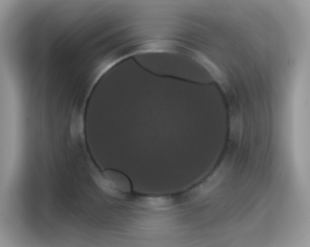 X0000115321465200911091147