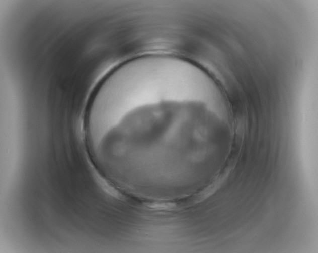 X0000115321466200911091147