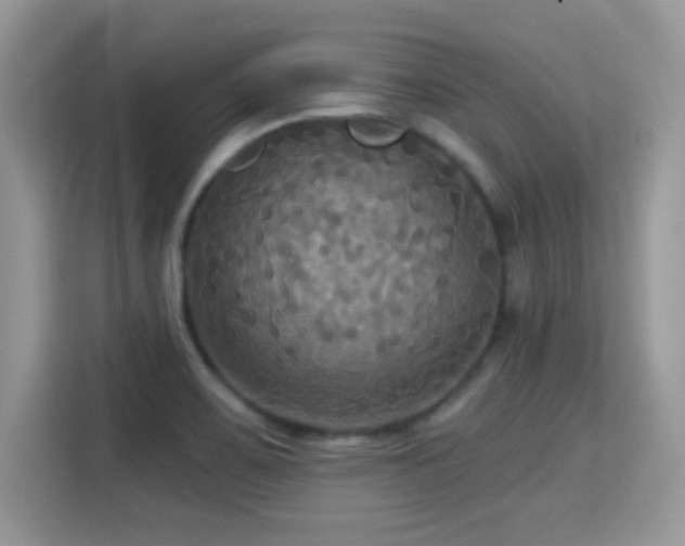 X0000115321467200911091147