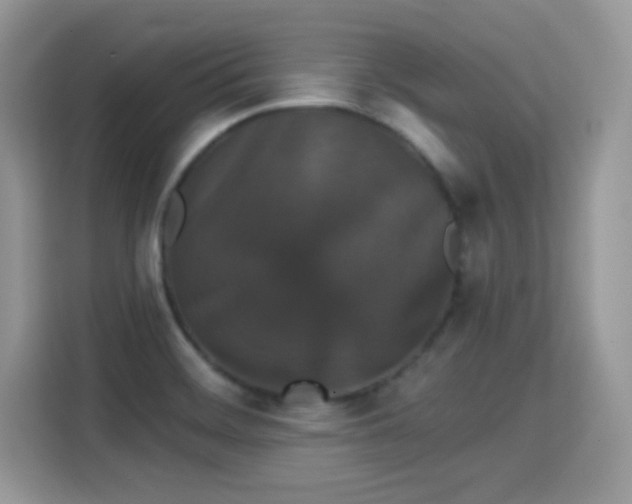 X0000115321468200911091147