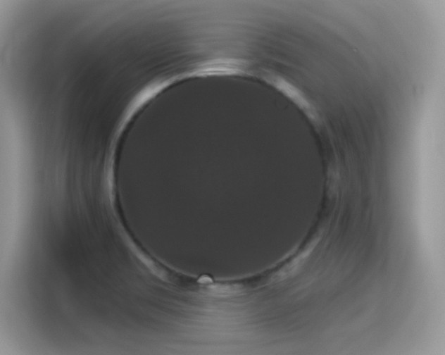 X0000115321469200911091147