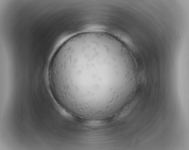 X0000115321470200911091147