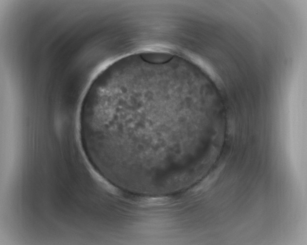 X0000115321471200911091147
