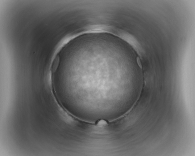 X0000115321472200911091147