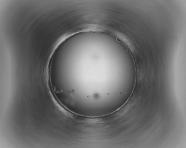 X0000115321479200911091147