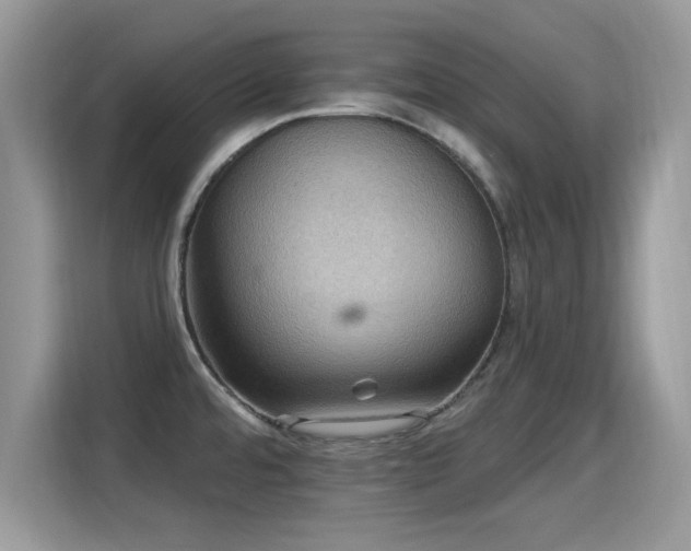 X0000115321480200911091147