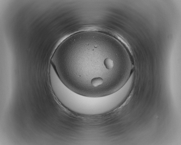 X0000115321481200911091147