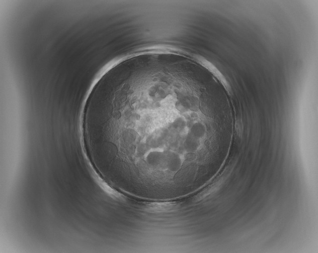 X0000115321482200911091147