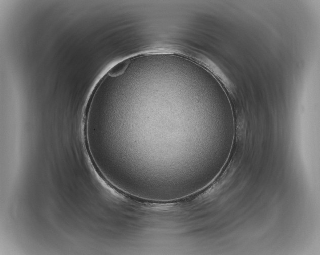 X0000115321484200911091147