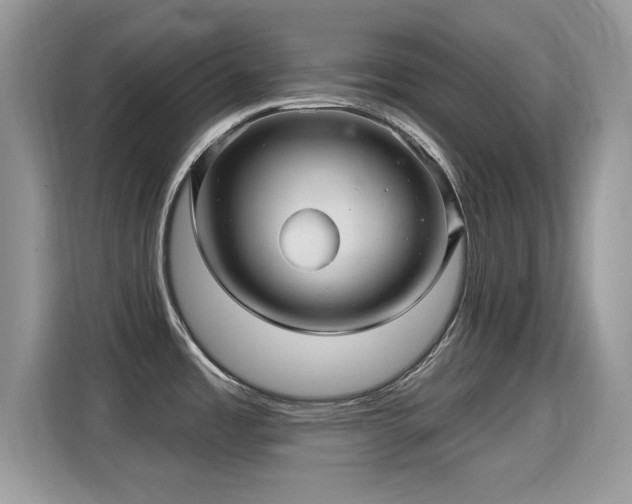 X0000115321485200911091147
