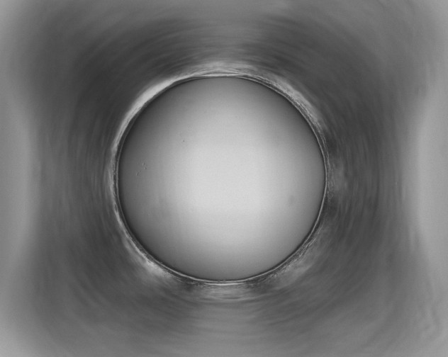 X0000115321486200911091147