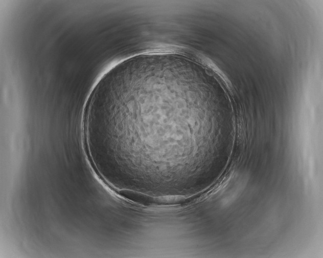 X0000115321487200911091147