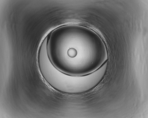 X0000115321488200911091147