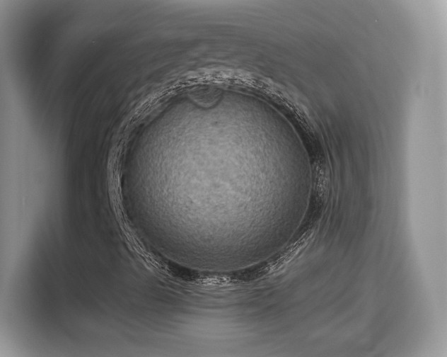 X0000115321489200911091146