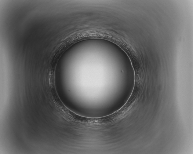 X0000115321490200911091146