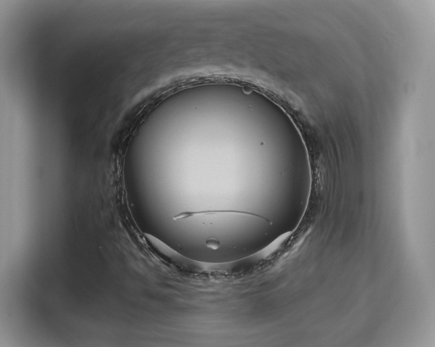 X0000115321494200911091146