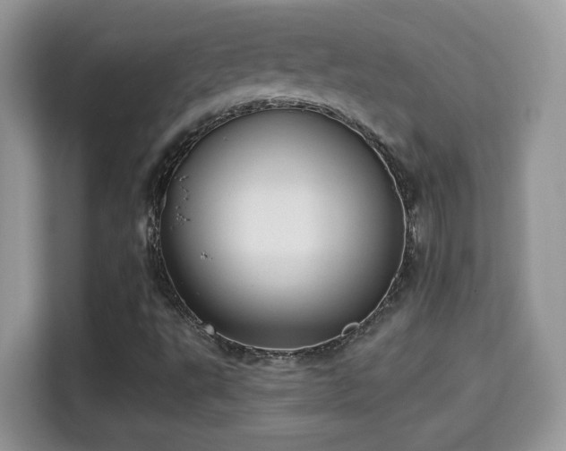 X0000115321495200911091146