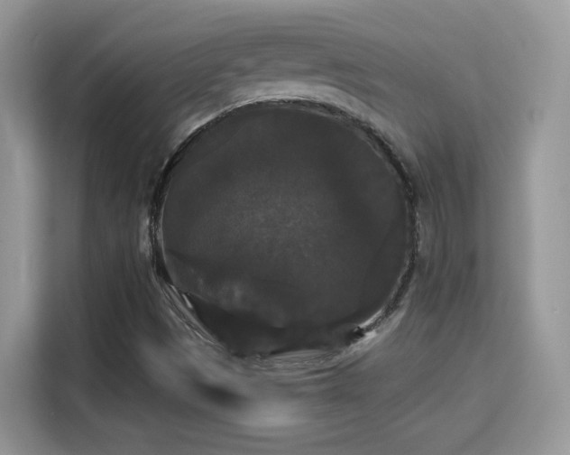 X0000115321497200911091146