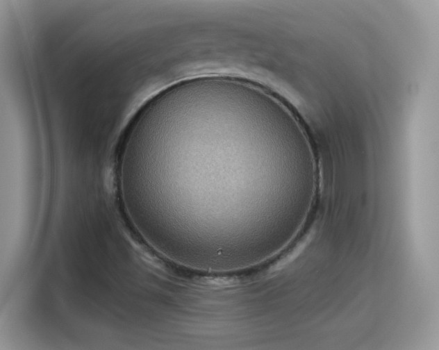 X0000115321501200911091146