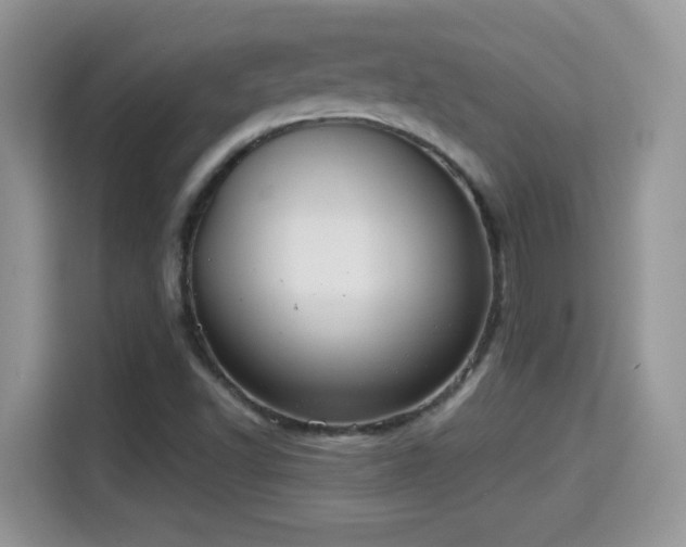X0000115321502200911091146