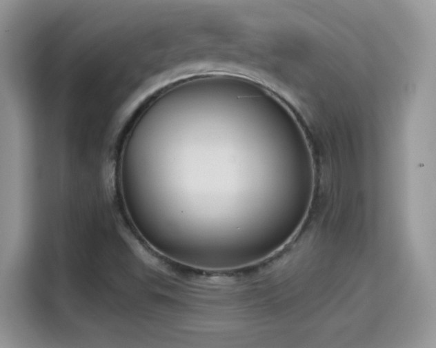 X0000115321503200911091146