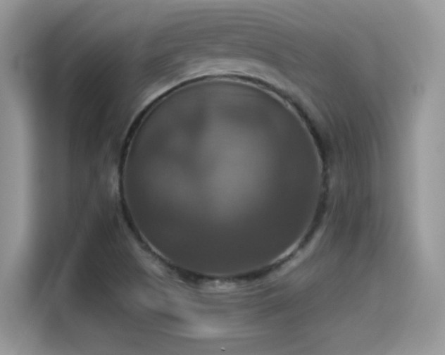 X0000115321505200911091146