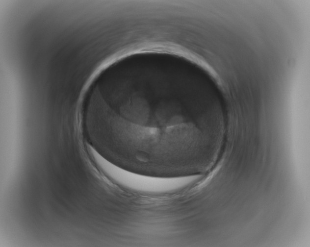 X0000115321506200911091146