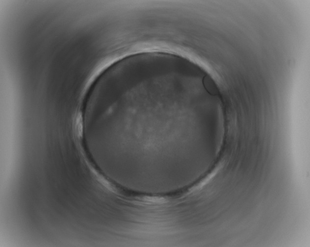 X0000115321509200911091146