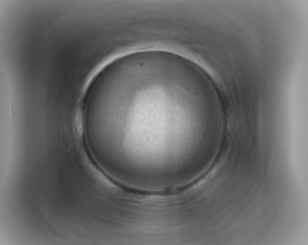 X0000115321510200911091146