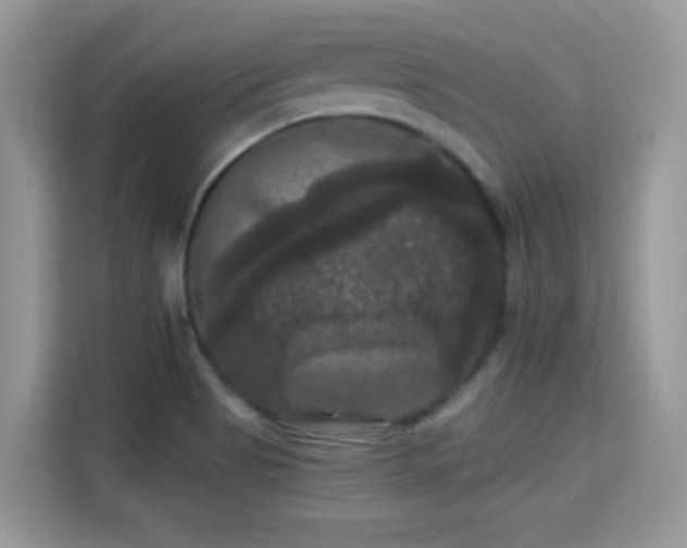 X0000115321513200911091146