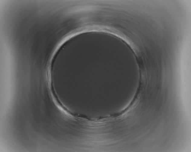 X0000115321515200911091146