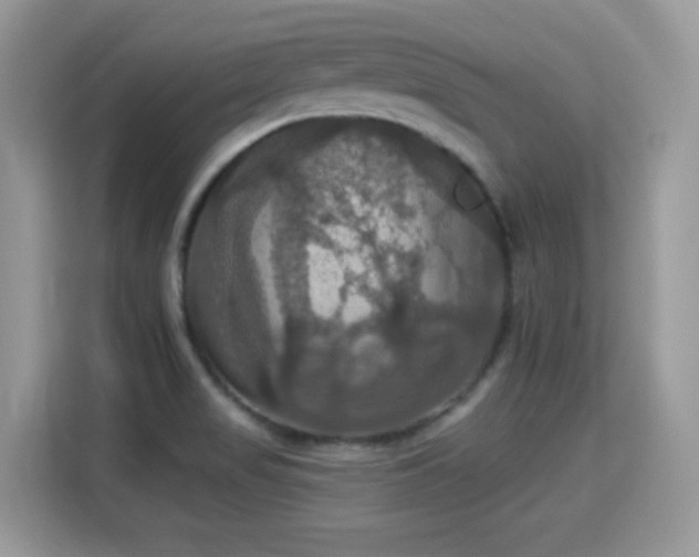X0000115321517200911091146