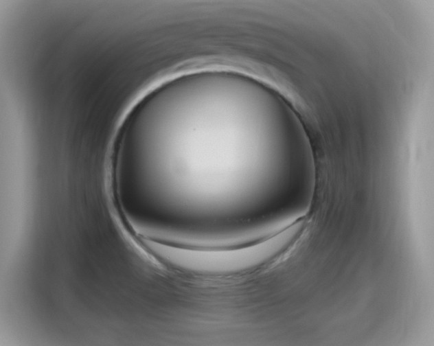 X0000115321518200911091146
