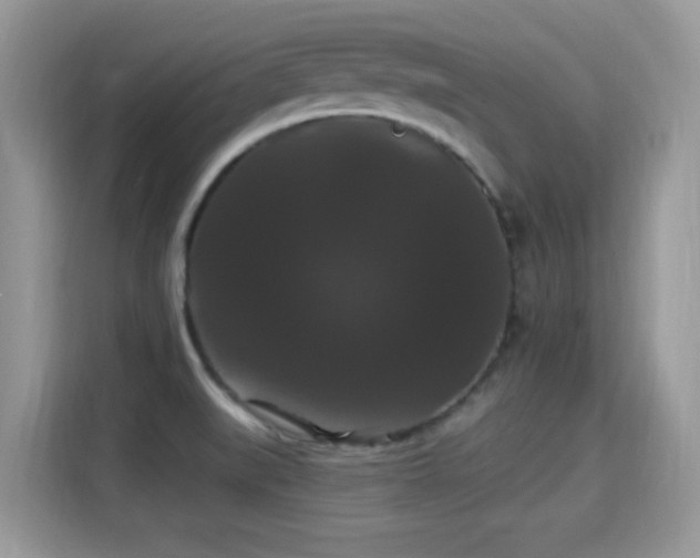 X0000115321519200911091146