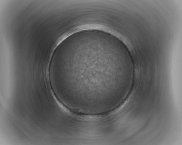 X0000115321521200911091147