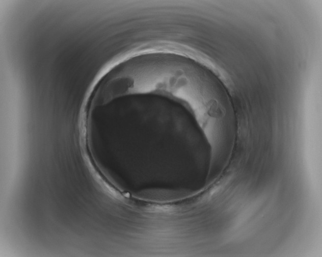 X0000115321522200911091147