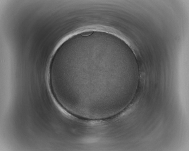X0000115321523200911091147