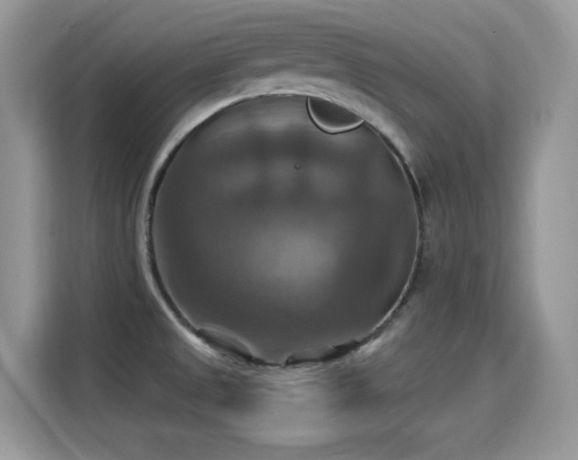 X0000115321525200911091147