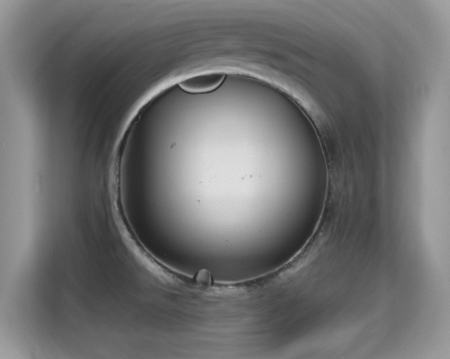 X0000115321526200911091147