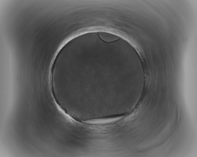 X0000115321527200911091147