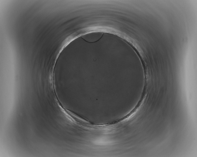 X0000115321529200911091147