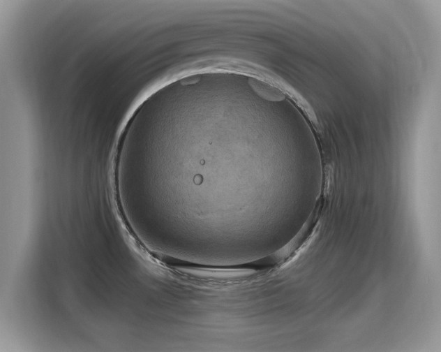 X0000115321530200911091147
