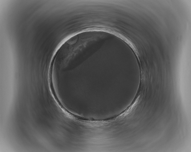 X0000115321533200911091147