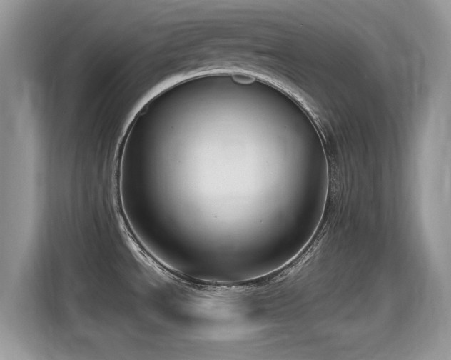 X0000115321534200911091147