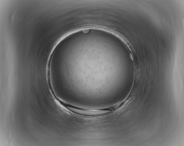 X0000115321535200911091147