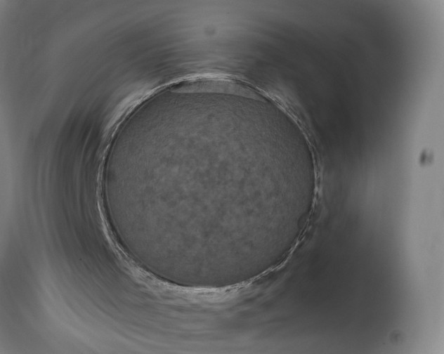 X0000115320001200911161756